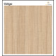 Olla Compact Can Çocuk Genç Yatak Odası Takımı MDF