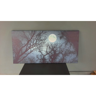  14749YD Gece Gökyüzü Görseli Yatay Dar Kanvas Tablo (Outlet) - 100x50 CM