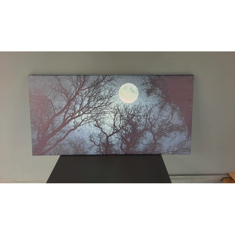  14749YD Gece Gökyüzü Görseli Yatay Dar Kanvas Tablo (Outlet) - 100x50 CM
