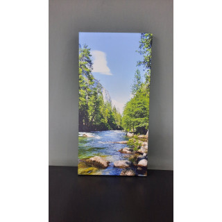 13641DD Doğa / Manzara Görseli Dikey Dar Kanvas Tablo (Outlet) - 30x60 CM
