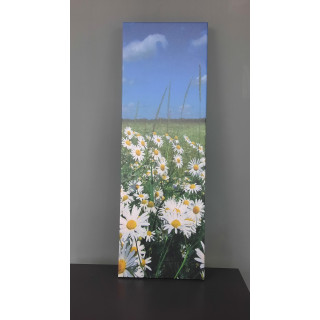 13739DI Doğa / Manzara Görseli Dikey İnce Kanvas Tablo (Outlet) - 30x90 CM