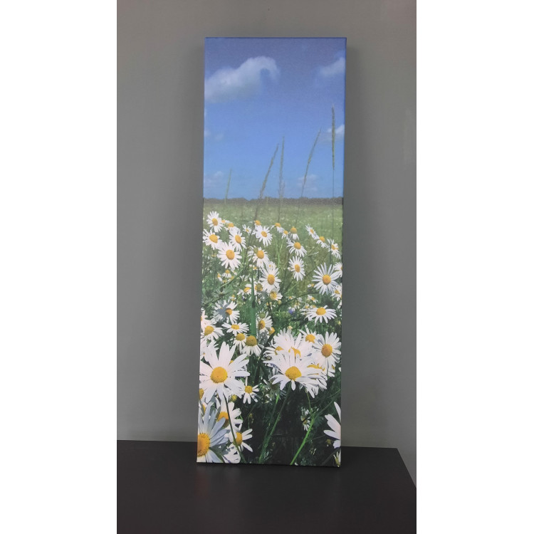 13739DI Doğa / Manzara Görseli Dikey İnce Kanvas Tablo (Outlet) - 30x90 CM
