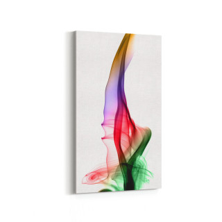 10170DD Abstract Görsel Dikey Dar Kanvas Tablo