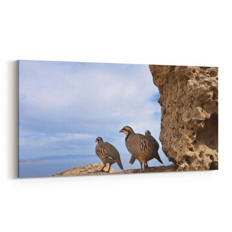 12635YD Hayvanlar Alemi Görseli Yatay Dar Kanvas Tablo
