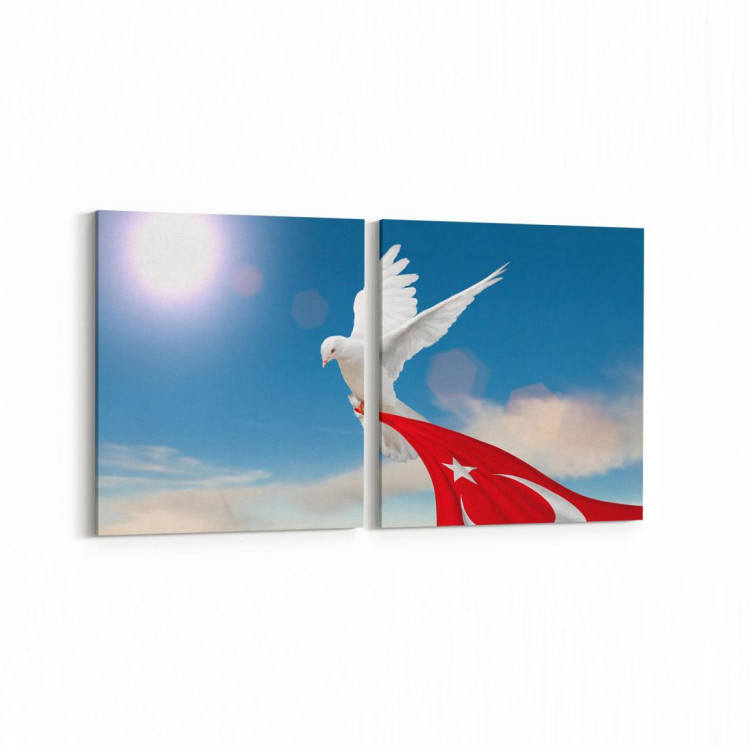 15867K2Y Gökyüzü Kuşlar Görseli Kare 2'li Yatay Kanvas Tablo