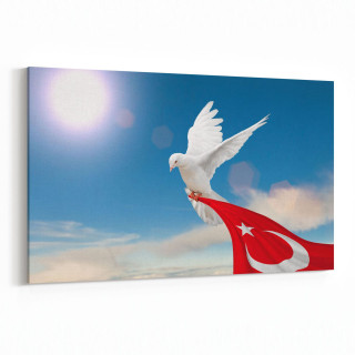 15867Y Gökyüzü Kuşlar Görseli Yatay Kanvas Tablo