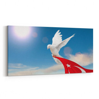 15867YD Gökyüzü Kuşlar Görseli Yatay Dar Kanvas Tablo