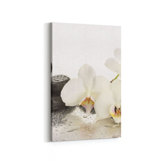 17042D Spa / Masaj Görseli Dikey Kanvas Tablo