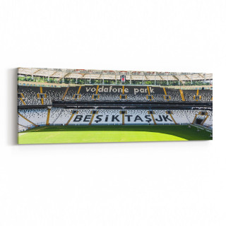 17114YI Spor Görseli Yatay İnce Kanvas Tablo