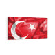 17544YD Türk Bayrağı Görseli Yatay Dar Kanvas Tablo